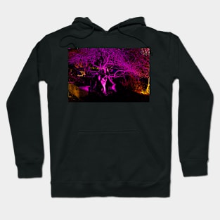 Wisley Christmas Glow Hoodie